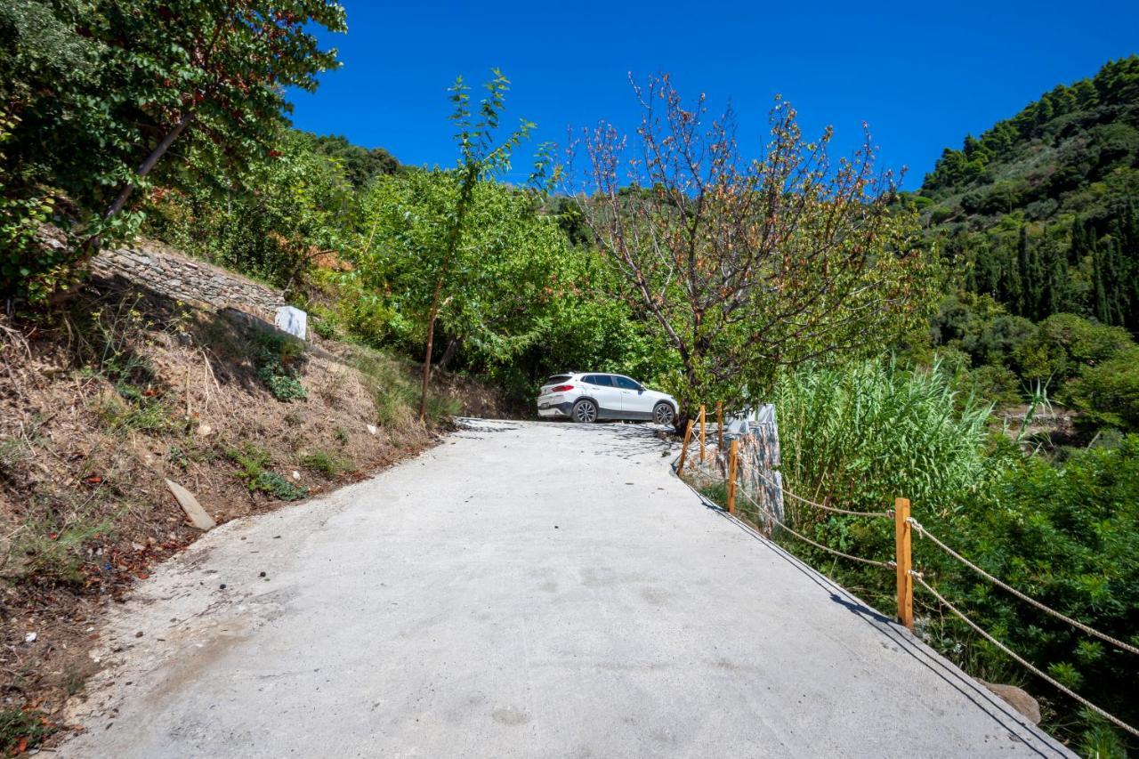 Olea Skopelos Villas With Swimming Pools & Sea View Panormos  Exterior foto